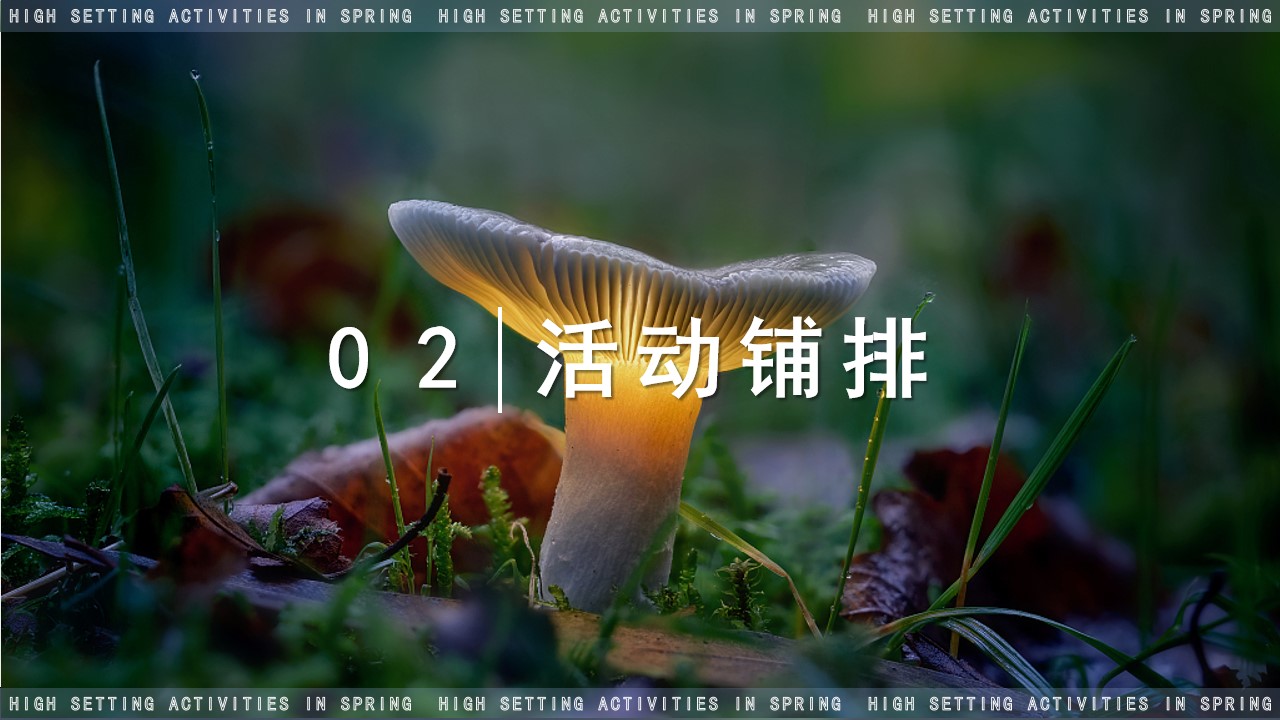 1680361481 d14efb4b491c1b2 - 【方案】2023地产项目春季植物手作（万物生长 约绘春天主题）活动策划方案-18P