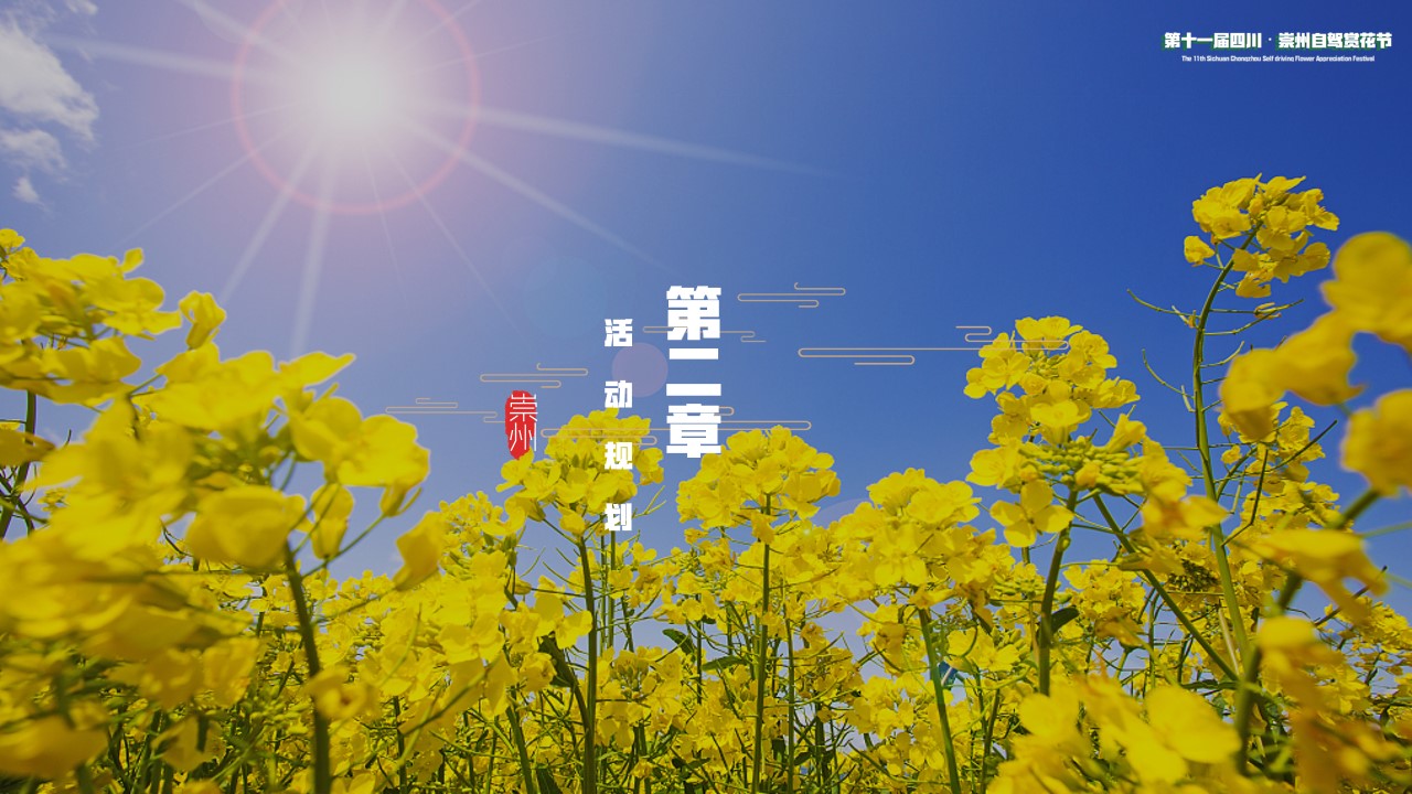 1686298081 42598eae9c79557 - 城市第十一届自驾赏花节（入画红桥重逢自然主题）活动策划方案