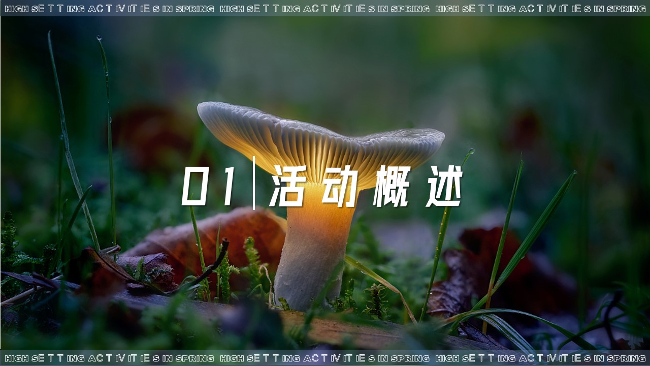 1739931273 b207e1016ea0a91 - [森临其境 约绘春天]商业综合体3月活动方案