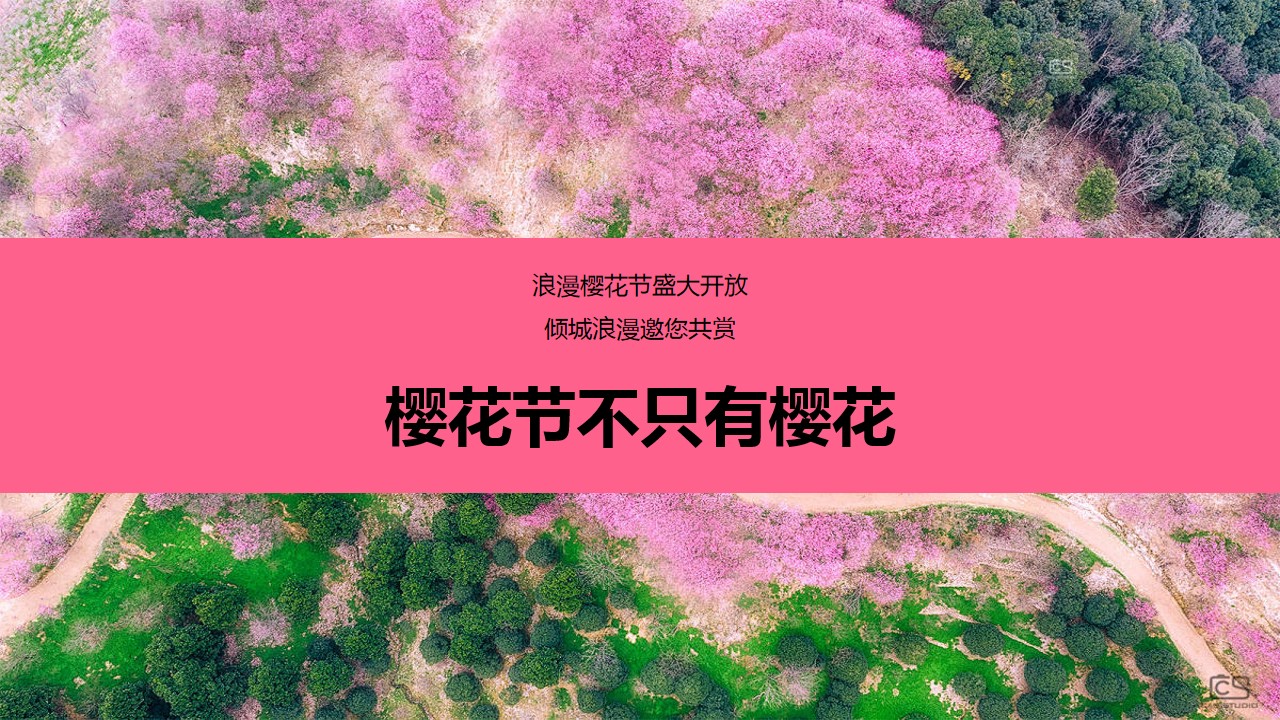 1740626127 42598eae9c79557 - 春天4月樱花季樱花节游园会-樱花节地产游园会活动策划方案